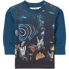 Eloy - Small Fish (3W21A401 7524)