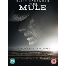 Drama DVD's The Mule (DVD)