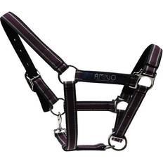 Amigo Headcollar