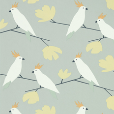 Grey - Orange Wallpapers Scion Love Birds (112222)