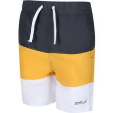 Regatta Kid's Shaul III Swim Shorts - Grey Glow Light