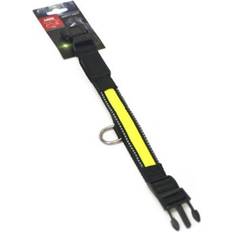 PETCARE Kæledyr PETCARE Active Canis LED Light Dog Collar L