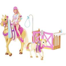 Barbie Groom 'N Care GXV77