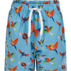 Color Kids Kid's UPF 30+ Swim Shorts - Blue Fish (720033-1141)