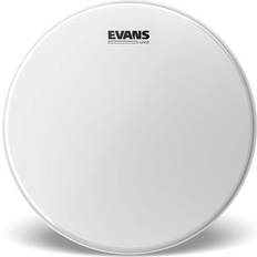 Evans B10UV2