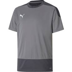 Puma teamGOAL 23 Training Jersey Kids - Steel Gray/Asphalt