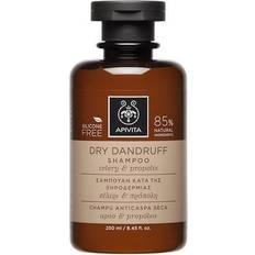 Dry Dandruff Shampoo