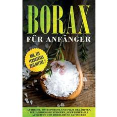 Borax Borax fur Anfanger (Häftad, 2020)