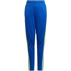 adidas Squadra 21 Trainingsboek - Blauw