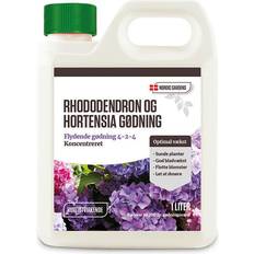 Rhododendron Nordic Garden Rhododendron og Hortensia Gødning Gødning