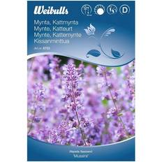 Weibulls Mussinii Katteurt Blomsterfrø