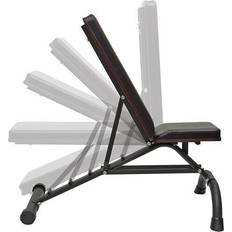 Adjustable Dumbbell Bench