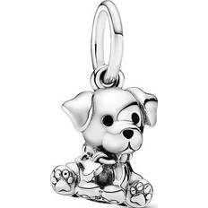 Noir Breloques et Pendentifs Pandora Charm Pendant Chiot Labrador Moments Argent