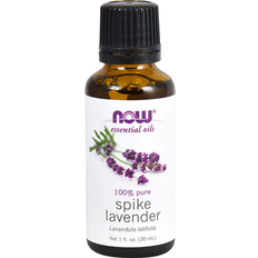 Massage & Relaxation Products NOW Essential Oils Spike Lavender 30ml