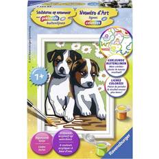 Hunde Kreakasser Ravensburger Painting by Numbers Cute Puppies