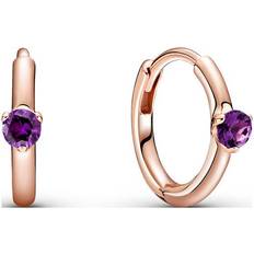 Pandora Lila Örhängen Pandora Solitaire Huggie Hoop Earrings - Rose Gold/Purple