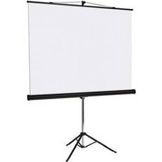 Projector Screens Bi-Office 9D006028 (1:1 49" Portable)