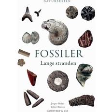 Fossiler Fossiler: Langs stranden (Inbunden, 2021)