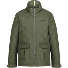 Racing green clothing Regatta Kid's Zion Quilted Insulated Jacket - Racing Green