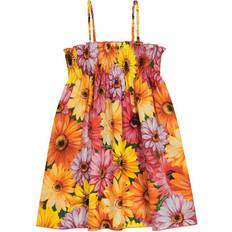 Hs5 Dolce & Gabbana Floral Dress - Multicolor (L52DA6/HS5LC)