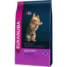 Eukanuba kitten Eukanuba Kitten Healthy Start 2kg