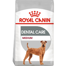 Royal Canin Medium Dental Care 10kg