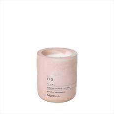 Concrete Scented Candles Blomus Fraga Scented Candle 114g