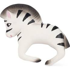 Zoe the Zebra