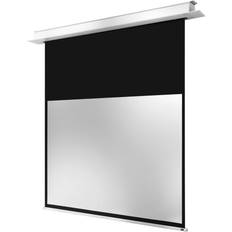 Celexon Electric Professional Plus Ecran de projection montable au plafond, montable sur mur motorisé 230 V 130" (330 cm) 16:10 blanc mat