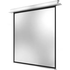 Celexon Electric Professional Plus Ecran de projection montable au plafond, montable sur mur motorisé 230 V 122" (310 cm) 1:1 blanc mat blanc