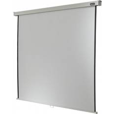 Celexon Rollo Professional Schermo per Proiettore 1:1 290 x 290 cm