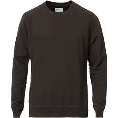 Colorful Standard Homme Pulls Colorful Standard Classic Organic Crew Sweat - Coffee Brown