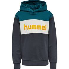 Blå Hettegensere Hummel Morten Hoodie - Blue Coral (212444-7058)