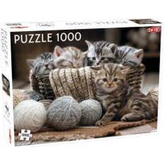 Tactic Cute Kittens 1000 Pieces