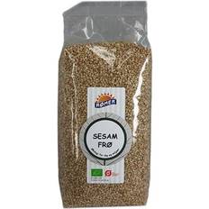 Organic Sesame Seed