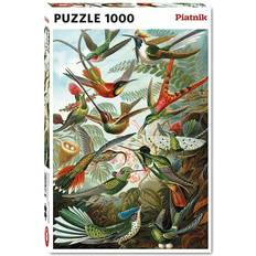 Hummingbird 1000 Pieces