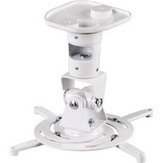 Ceiling Mount 118610
