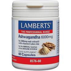 Lamberts Vitamine & Nahrungsergänzung Lamberts Ashwagandha 6000mg 60 Stk.