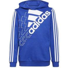 Adidas Blue Hoodies adidas Essentials Logo Hoodie - Bold Blue/White (GS2189)