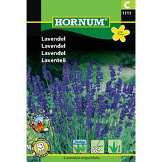 Krukker, Planter & Dyrkning Hornum Lavendel (1111) Blomsterfrø