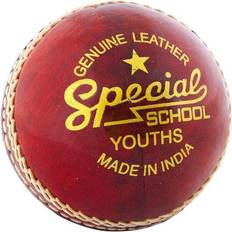 Cricket Readers Special Schools Training Cricket Ball