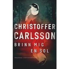 Brinn mig en sol (Indbundet, 2021)