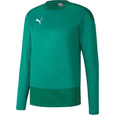 Puma teamGOAL 23 Training Sweatshirt Men - Pepper Green/Power Green