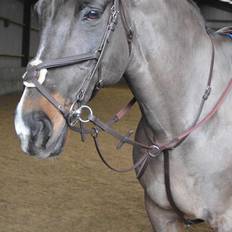 Ready to Ride Martingale