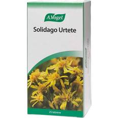 Solidago Herbal Tea