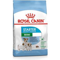 Royal Canin Mini Starter 3kg