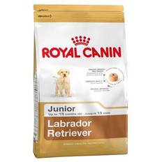 Comida para perros Mascotas Royal Canin Labrador Retriever Junior