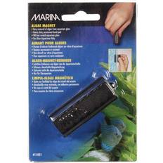 Marina Algae Magnet Small