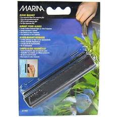 Marina Algae Magnet Medium