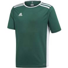 adidas Entrada 18 Jersey Men - Collegiate Green/White